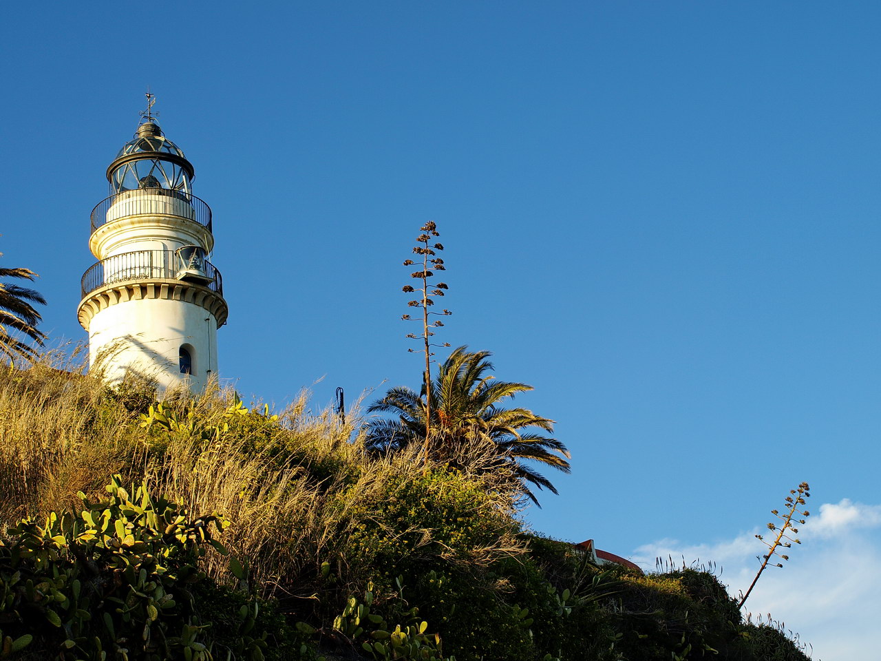 Calella